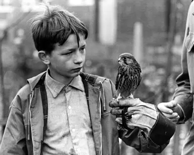 2월 21일 일요일 영화=케스