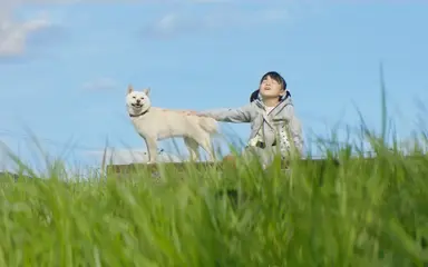 안녕바다 '무지개다리' 발표…영화 '역으로 가는 길~' 콜라보 : 네이트 연예