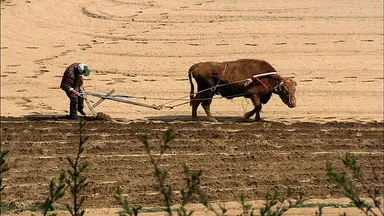 <'워낭소리'만큼 적막감 돈 최원균씨 빈소> | 연합뉴스