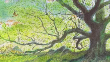 '나무를 심은 사람', 'ECO-歌舞'에서 상영 : 네이트 뉴스