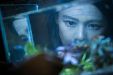 문화 주요일정·8월5일 월요일