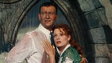 '서부 영화 개척' 감독을 이해하는 재미있는 입문서 : 네이트 연예