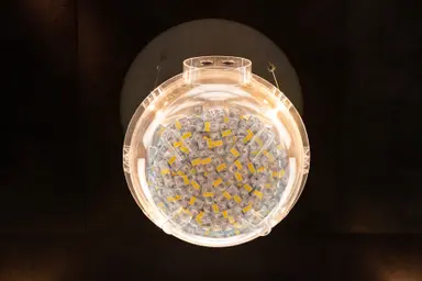 넷플릭스 '오징어게임:더챌린지', 한파에 부상자 발생 - 디지털데일리