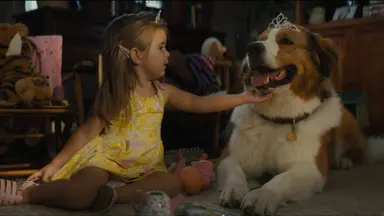 '안녕 베일리' 만능 엔터테이너 헨리 할리우드 입성