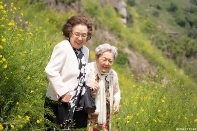 영화 '소풍' 나문희 “영옥 언니랑 꼭 하고 싶었던 영화” | 서울신문
