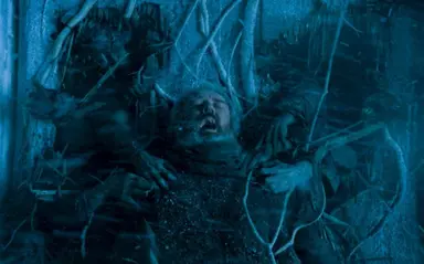 [할리우드 ] 키트 해링턴 로즈 레슬리 약혼…'왕좌의 게임' 로맨스가 ...