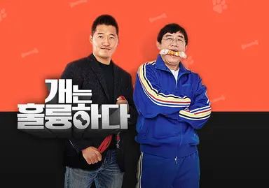 “강형욱과 통화했다” 역대급 민폐 끼친 강형욱, 심각한 상황 전해졌다 ...
