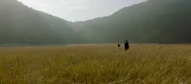 [단독] '피라미드 게임' 정하담, 새 소속사 찾는다 'FA' : 네이트 연예