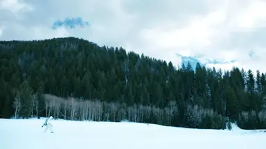 영화 '윈드 리버' 감독판 21일 개봉…청불등급 | 연합뉴스