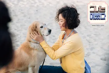 황정음-박서준, MBC '그녀는 예뻤다'로 재회 | 연합뉴스