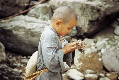 깐부 할배 “낙엽 될 것 같던 순간에도, 봄은 또다시 오더라”