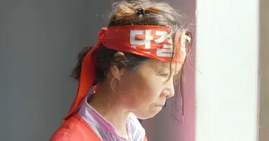 한국 영화와 갈매기의 꿈 [이경화의 하이브리드 미미] | 서울경제