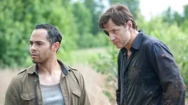 '미나리' 스티븐 연, 미 TV드라마 복귀…'워킹데드' 이후 첫출연 ...