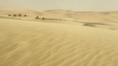 [영화리뷰] 니콜 키드먼의 카리스마 넘치는 연기 '퀸 오브 데저트'의 매력