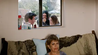 안성기·임시완·정해인·엠마 스톤 국내외 용띠 배우 "여기서 활약중 ...