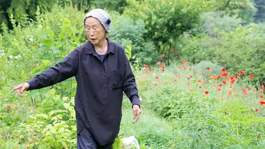 매일 스쳐 가는 길도 다르게 보인다…다큐 '땅에 쓰는 시' | 연합뉴스