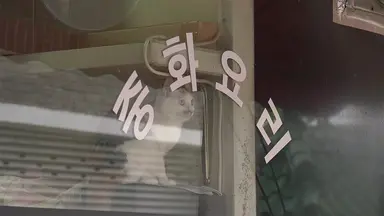 고양이로 변신한 임수정…'고양이 집사' 오늘(14일) 개봉 : 네이트 연예