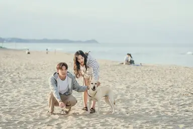 '도시남녀의 사랑법' 지창욱x김지원, 둘만의 결혼식→캠핑카 하룻밤[Oh ...
