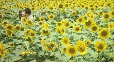 <지금, 만나러 갑니다> 배우, 다케우치 유코 사망