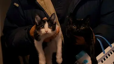 [매거진M] 주말에 뭐 볼래? … 예술가의 혼 '본 투 비 블루' vs 대자연과 ...