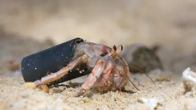 김남길, 자연다큐 '커넥션' 내레이션 "공익활동과 맞닿아"