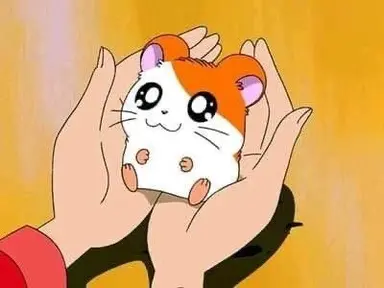 SBS 새만화시리즈 '방가방가 햄토리' | 중앙일보