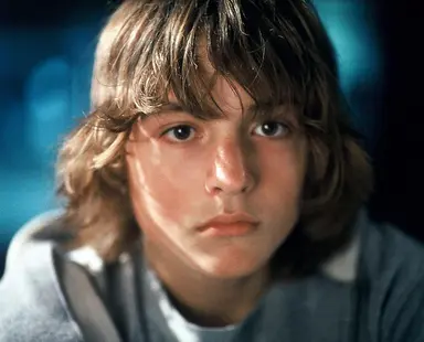 파라노이드 파크 - 매경 BOOK