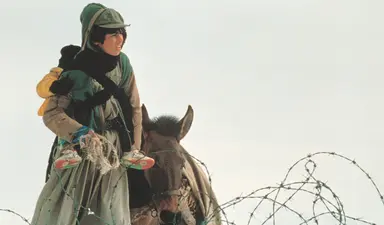 [일요영화] | 서울신문