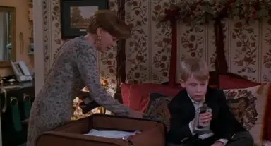 '나 홀로 집에' 감독 "트럼프 출연분 삭제하고파…추방당할 것"[ 할리우드]