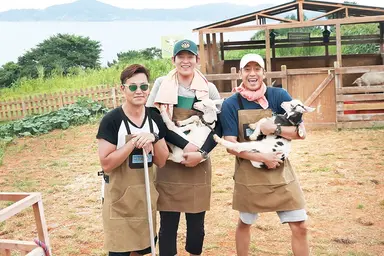 '삼시세끼 바다목장편' 다시 뭉친 잭슨·쿵이·몽이 : 네이트 뉴스