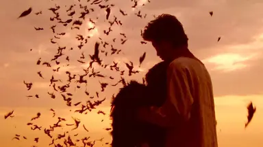 [영화리뷰] 가른한 인생들의 생애 첫 소풍 : 네이트 연예