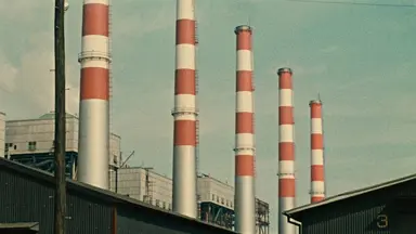 일본영화 거장 오즈 야스지로 회고전 | 세계일보