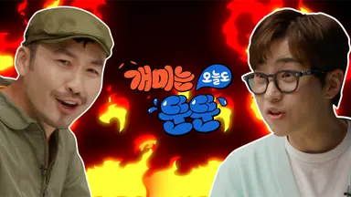 '개미는 뚠뚠3' 정준하 섭외?→김프로x슈카 종목 공개 조회수 공약(종합)