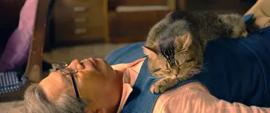 일본영화 '고양이와 할아버지', 세계적 동물 사진작가의 연출작 "미안 ...