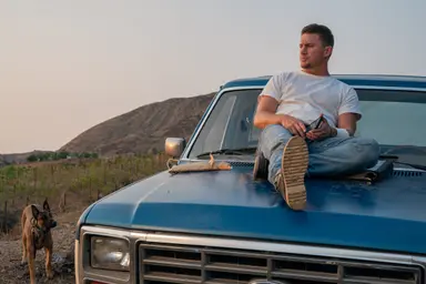 '도그' 채닝 테이텀, 사고뭉치 군견과 우정여행…10월 26일 개봉 ...