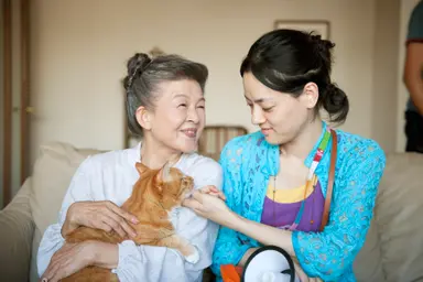 고양이는 '사랑'입니다…고양이를 소재로 한 영화들 - 노컷뉴스