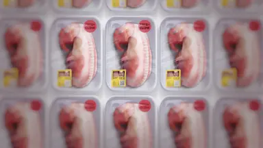 [주말의 OTT]국민 영웅 황우석의 몰락 : 네이트 연예