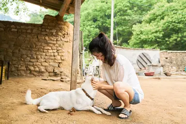 '리틀 포레스트' 김태리 "삶의 정답을 주기보다 여백주는 영화" | 연합뉴스