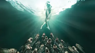 '피라냐 3DD', 식인물고기 피라냐 더욱 강력해졌다 - 노컷뉴스