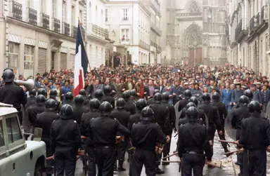 부산국제영화제, '내가 사랑한 프랑스 영화' 특별전 연다 : 네이트 연예
