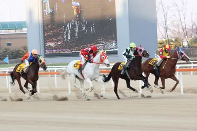 차태현 “CG없는 영화 챔프, 외화와 비교해도 손색없다” (인터뷰② ...