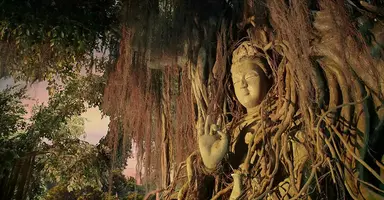 덱스터스튜디오, 서극 감독 신작 VFX 참여로 중국 시장 입지 재확인 ...