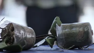 영화 '컨트랙티드' 19금 버전 예고편