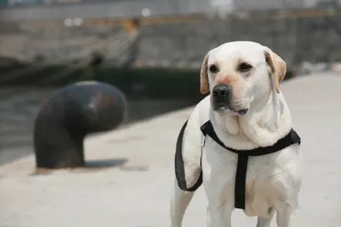 이유리 '마음이' 유승호 방문 “승호야 , 화이팅~” : 네이트 뉴스