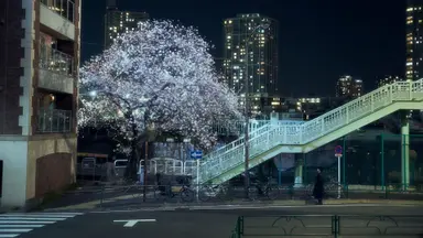 그럼에도 사랑을 한다, '4월이 되면 그녀는'[MK무비] - 스타투데이