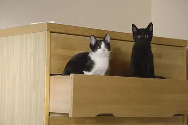 [카드뉴스] 금주의 개봉 영화 (6월 9일) - 이데일리