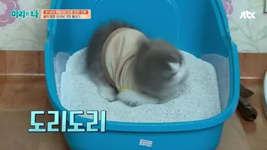 영화<아버지와 마리와 나> 기자시사회 현장