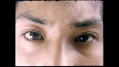 8월 최고 흥행작은 '터널'…韓영화 4편 관객 싹쓸이 - 노컷뉴스