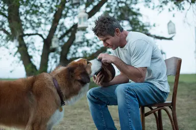 견생 4회차 인생선배의 라이프 어드벤처…'베일리 어게인' 예고편