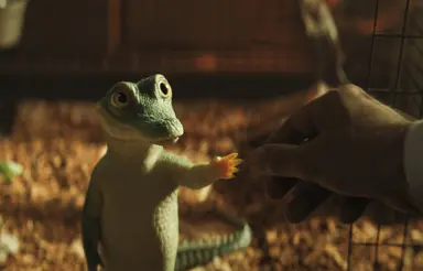 [개봉 영화] 삶을 따뜻하게 변화시킬 '라일 라일 크로커다일'·'엄마의 땅 ...